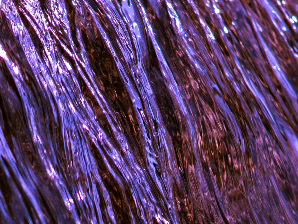 Water, Light, and Motion 11