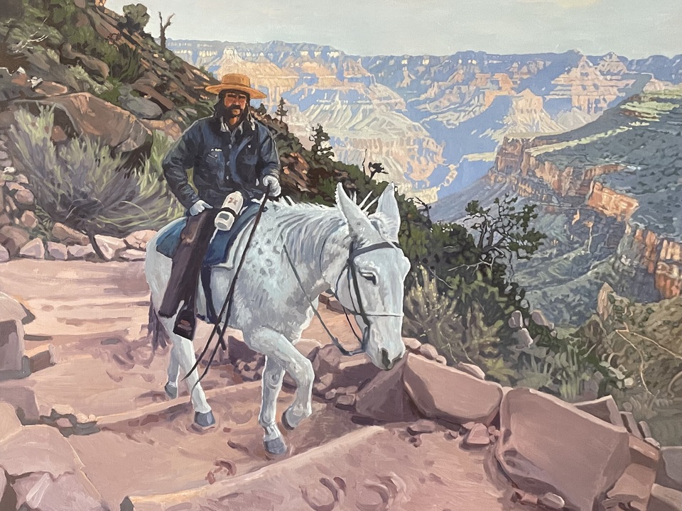 Grand Canyon Mule Guide