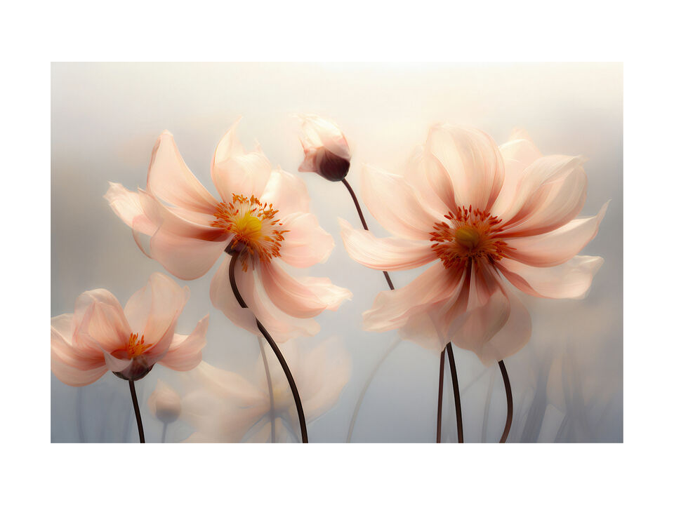 Flower and Wishes - Dazzling Mystery .2