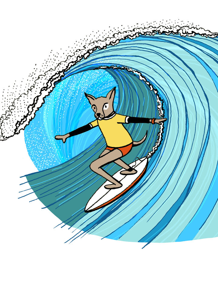 Surfing the Barrel