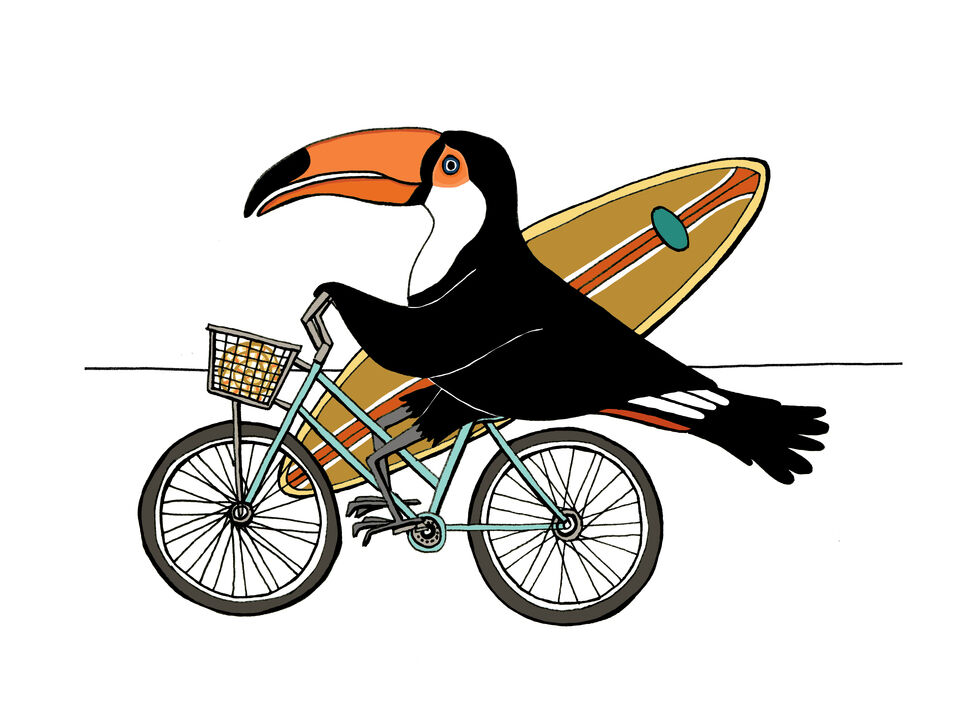 Toucan Goes Surfing