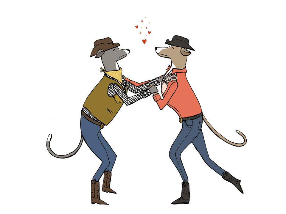 Whippets Waltz in Western Wear