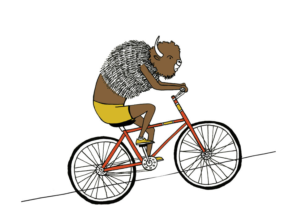 Bison Biking
