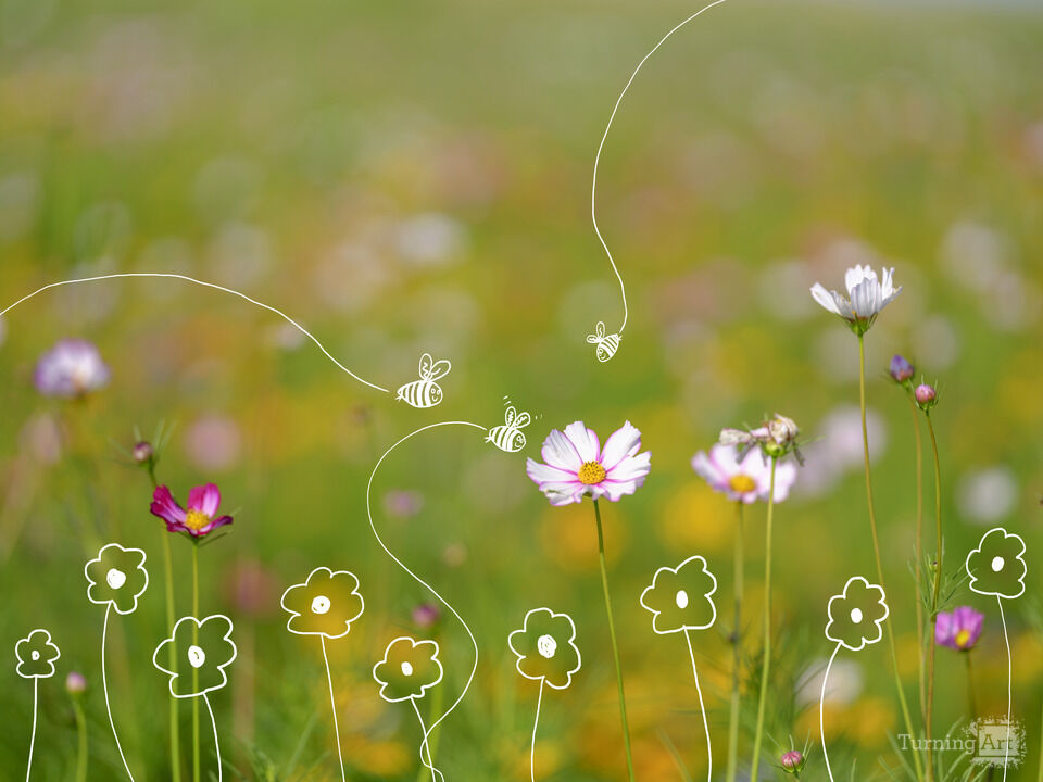 A Bug In the Garden 2