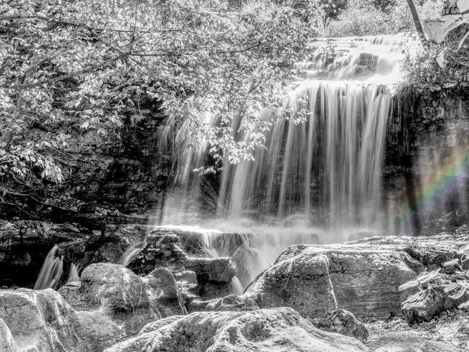 Cascading Tanyard Creek Waterfall Selective Color