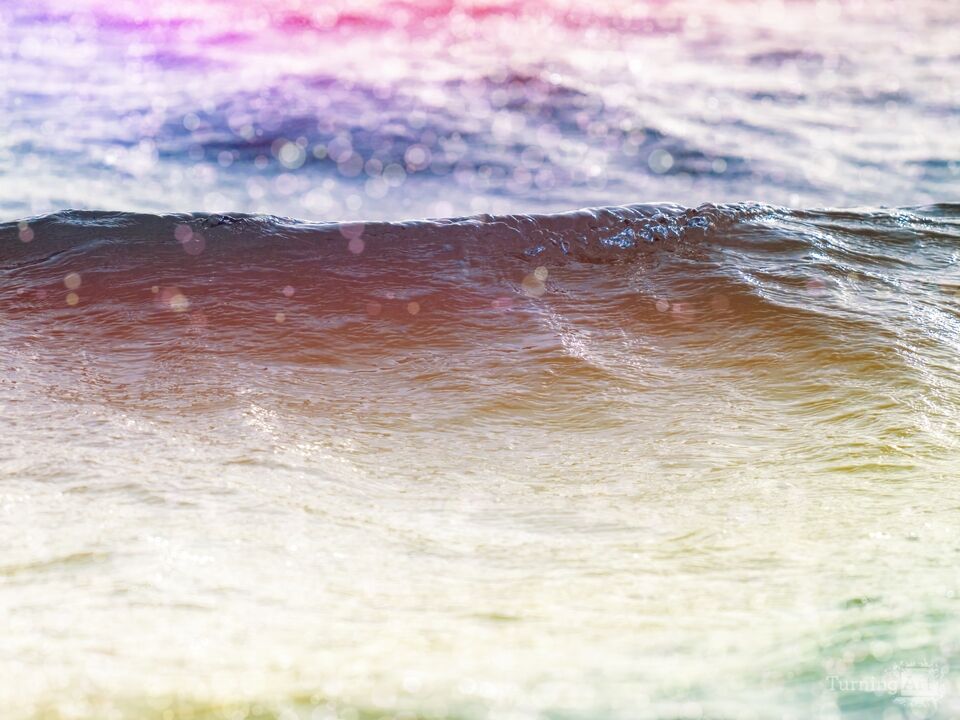 Movement in the Water