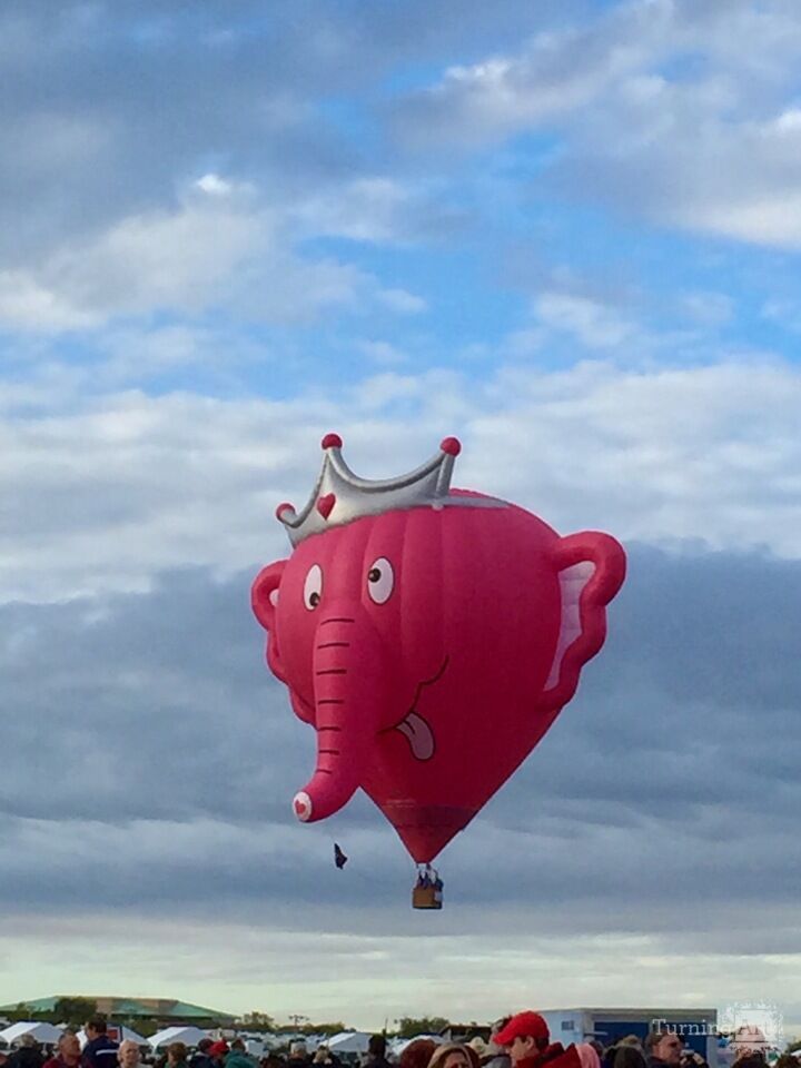 Silly Elephant