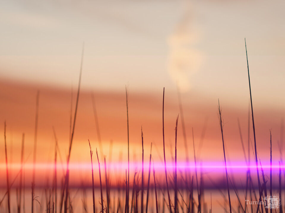 Midwest Color at Dusk