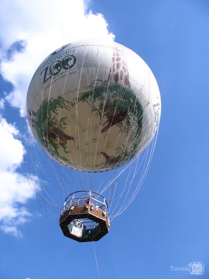 Zoo Balloon Up