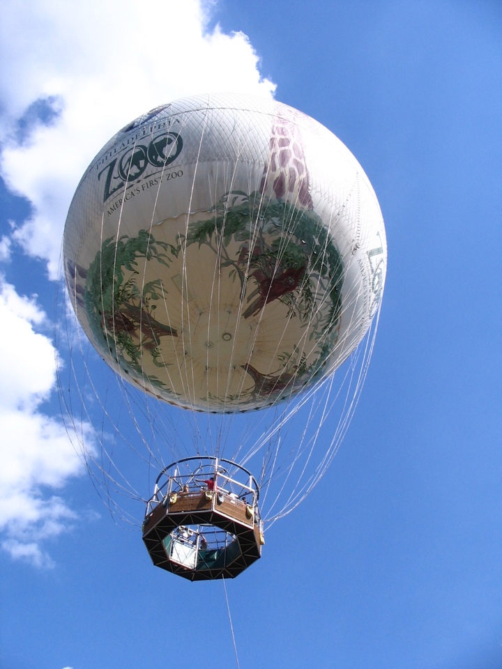 Zoo Balloon Up