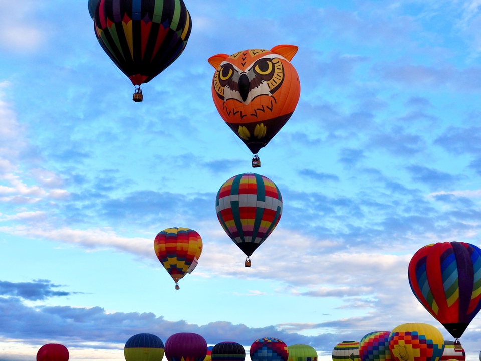 Owl Balloon