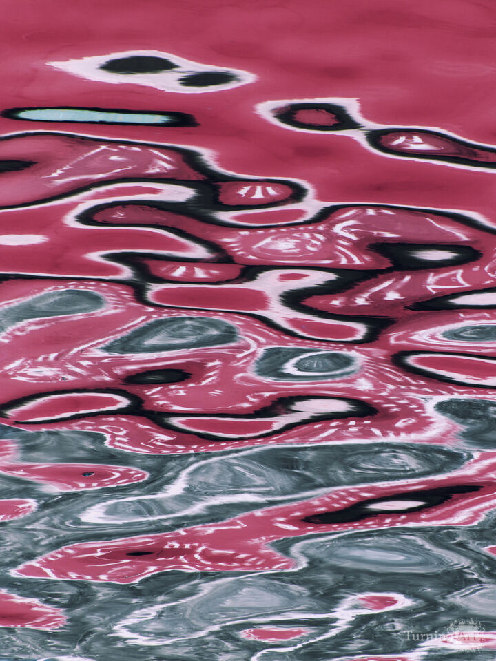 Pink Sea Pattern