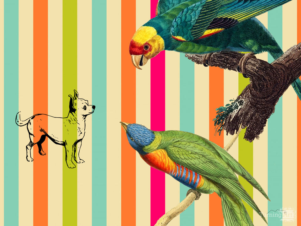 Dog Birds