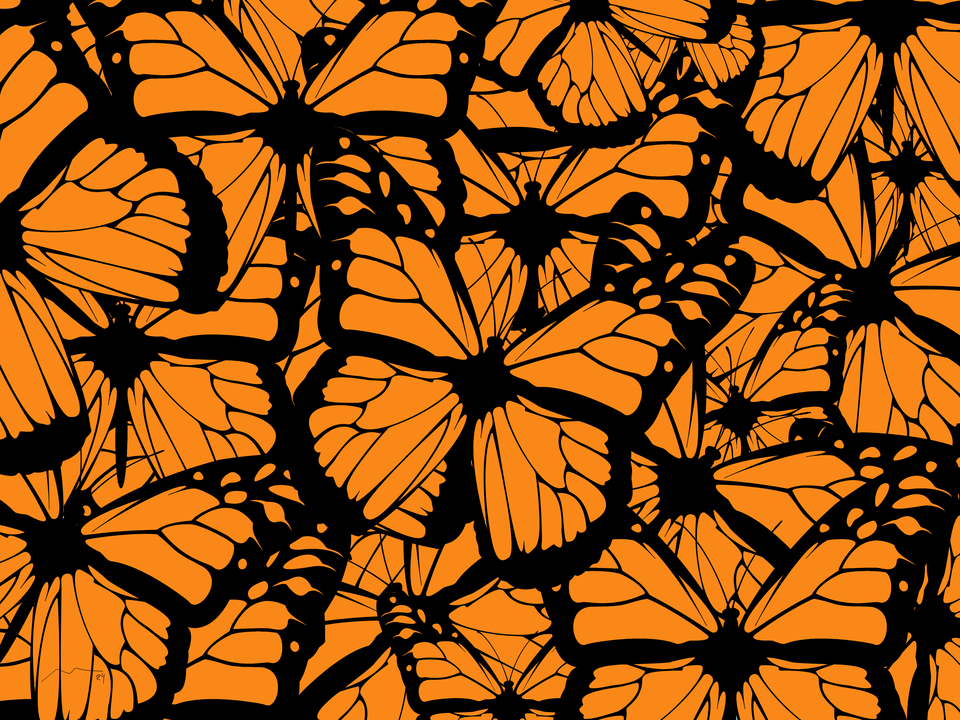 Butterflies 2
