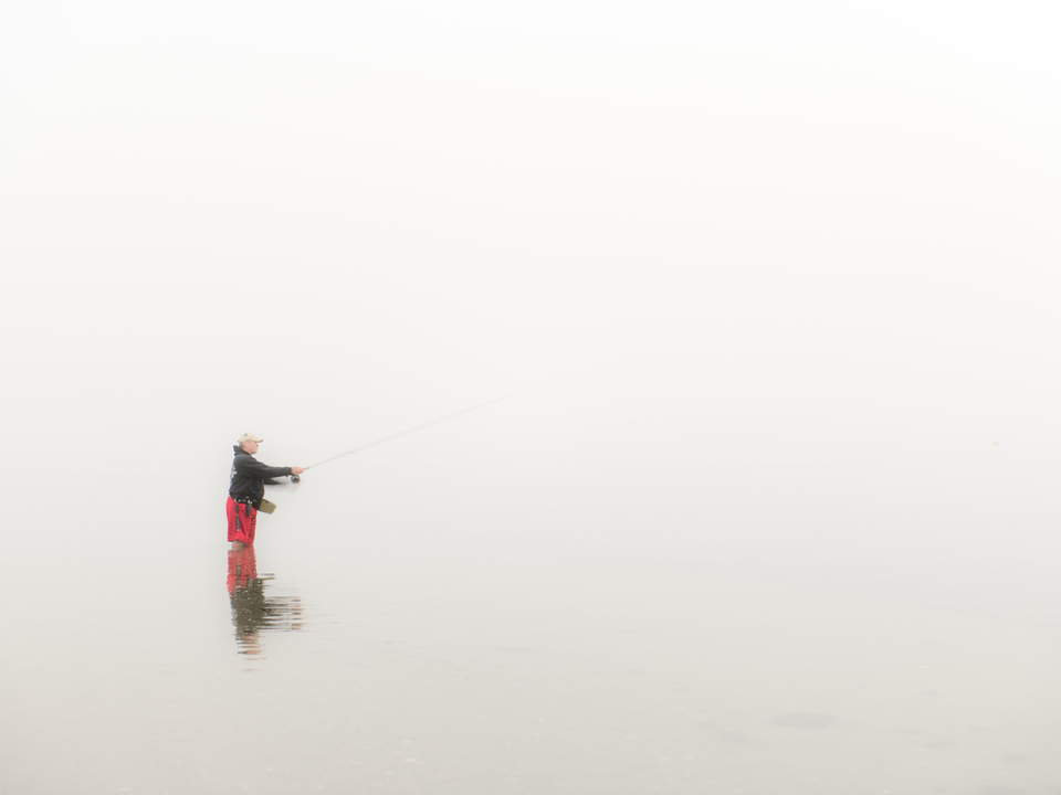 Gone Fishin' V
