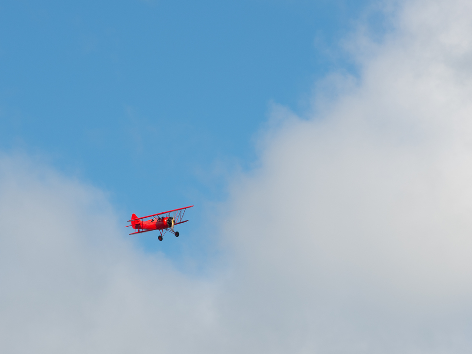 It's a bird! It's a plane!
