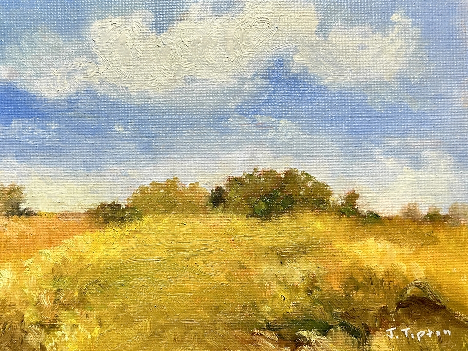 Up Along the Forest Preserve Trail