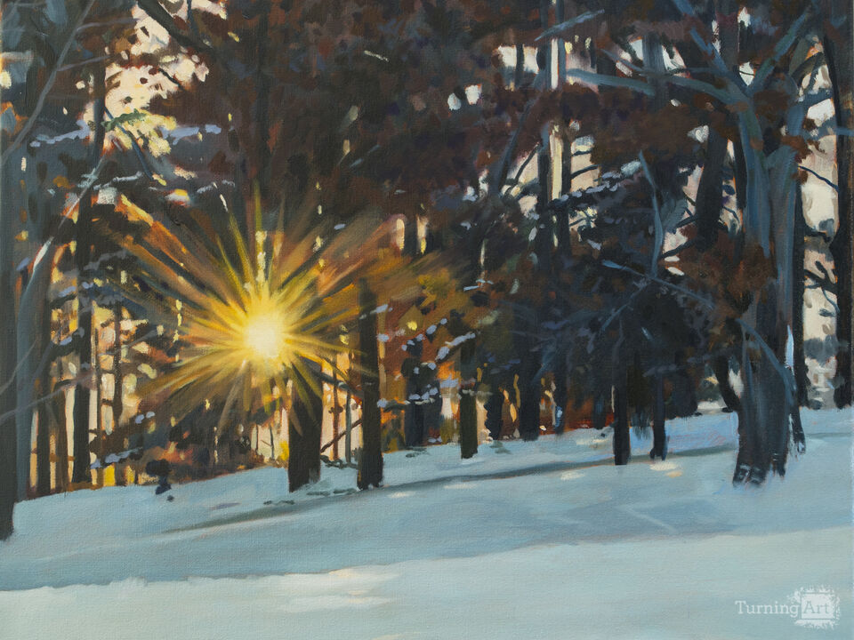 Winter Sunrise Arboretum