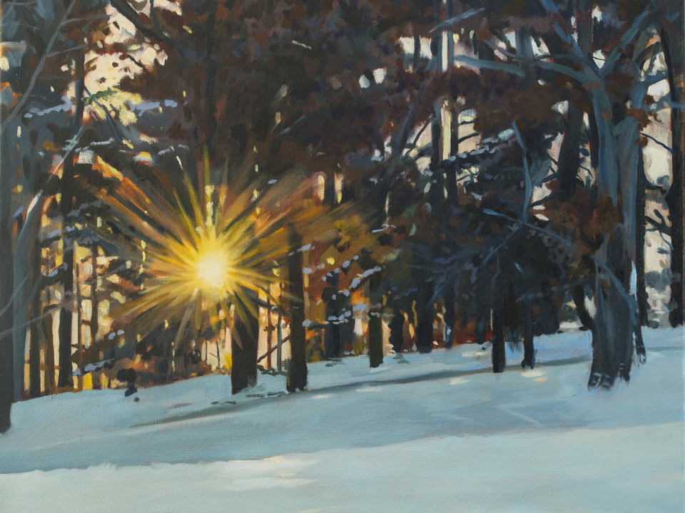Winter Sunrise Arboretum