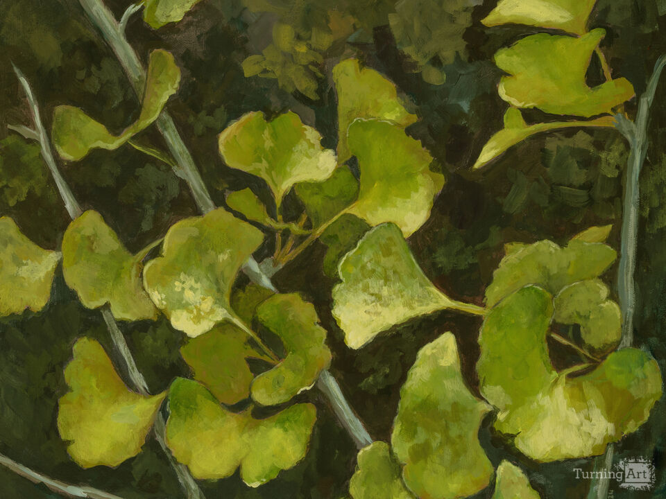 Peaceful Ginkgo Leaves I