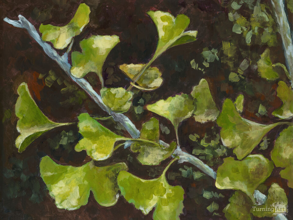 Peaceful Ginkgo Leaves II