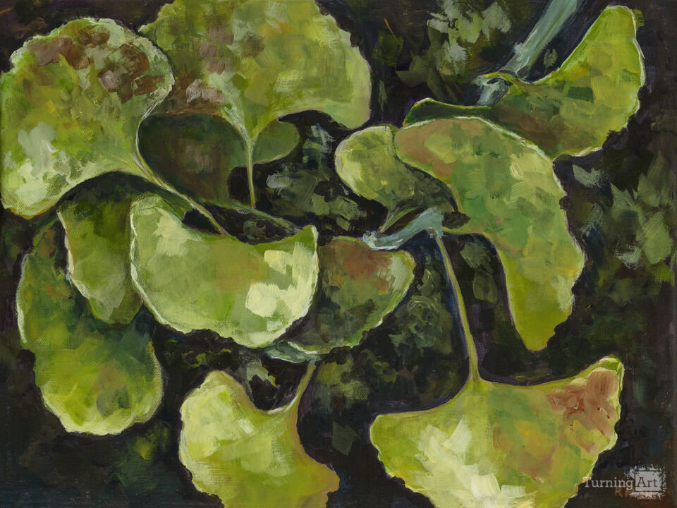 Peaceful Ginkgo Leaves III