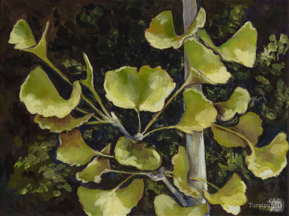 Peaceful Ginkgo Leaves IV