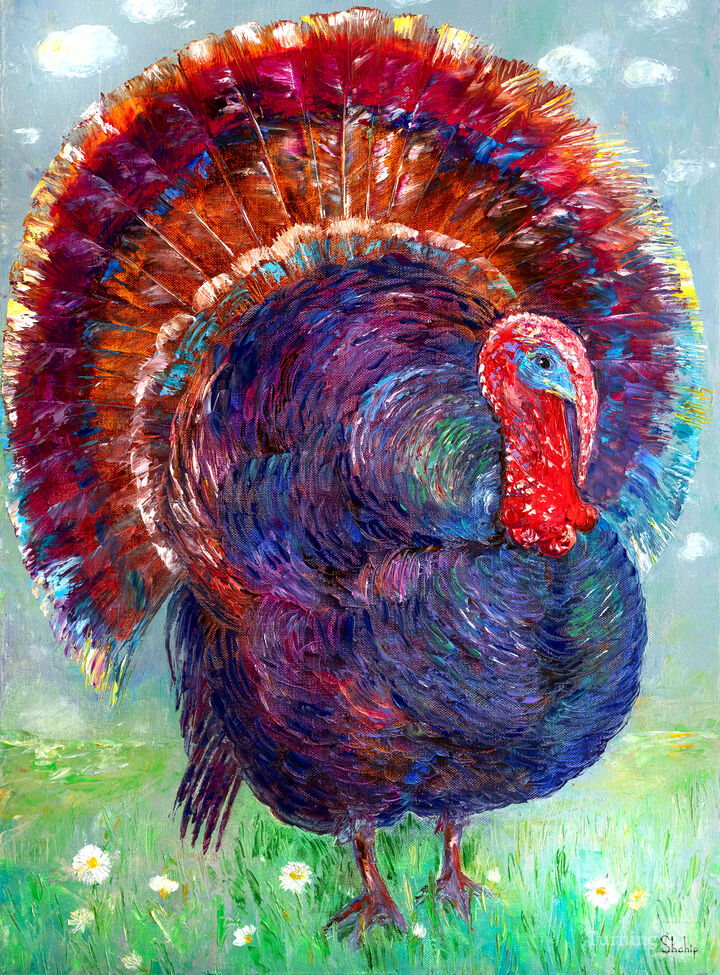 Turkey On a Meadow.