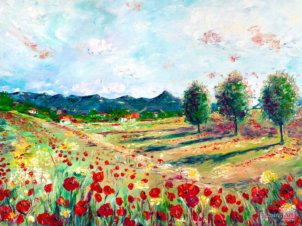 Poppy Fields In The Pyrenees.