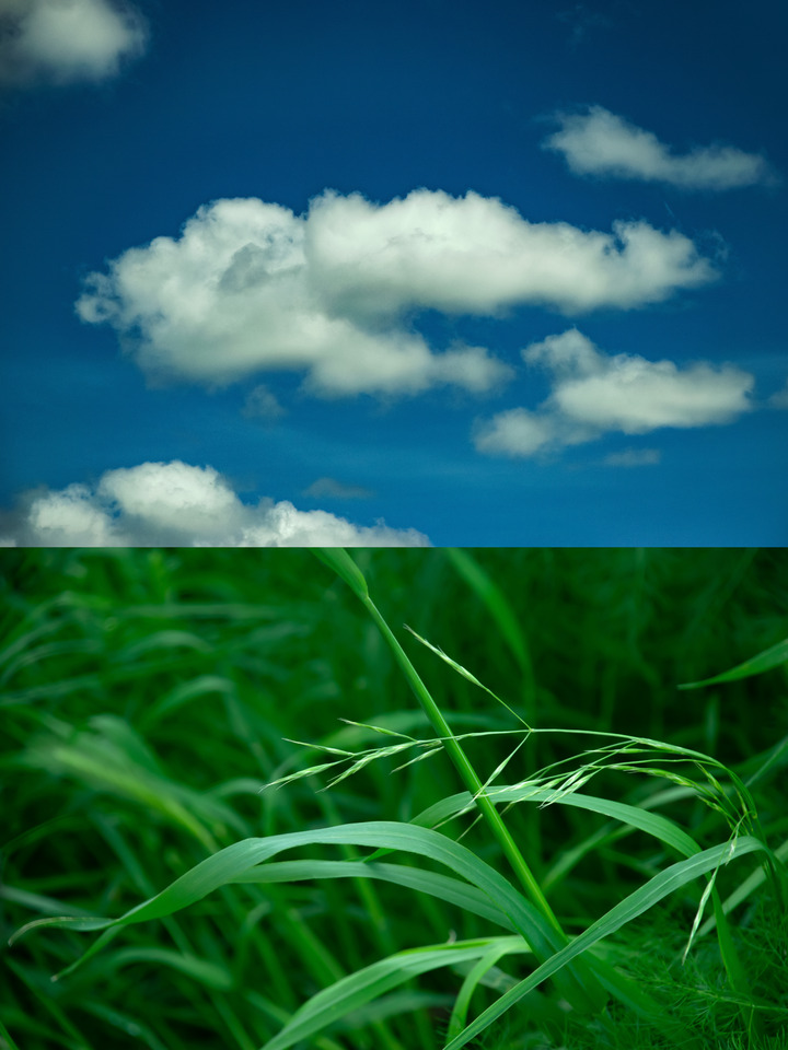 Interdependence No. 1