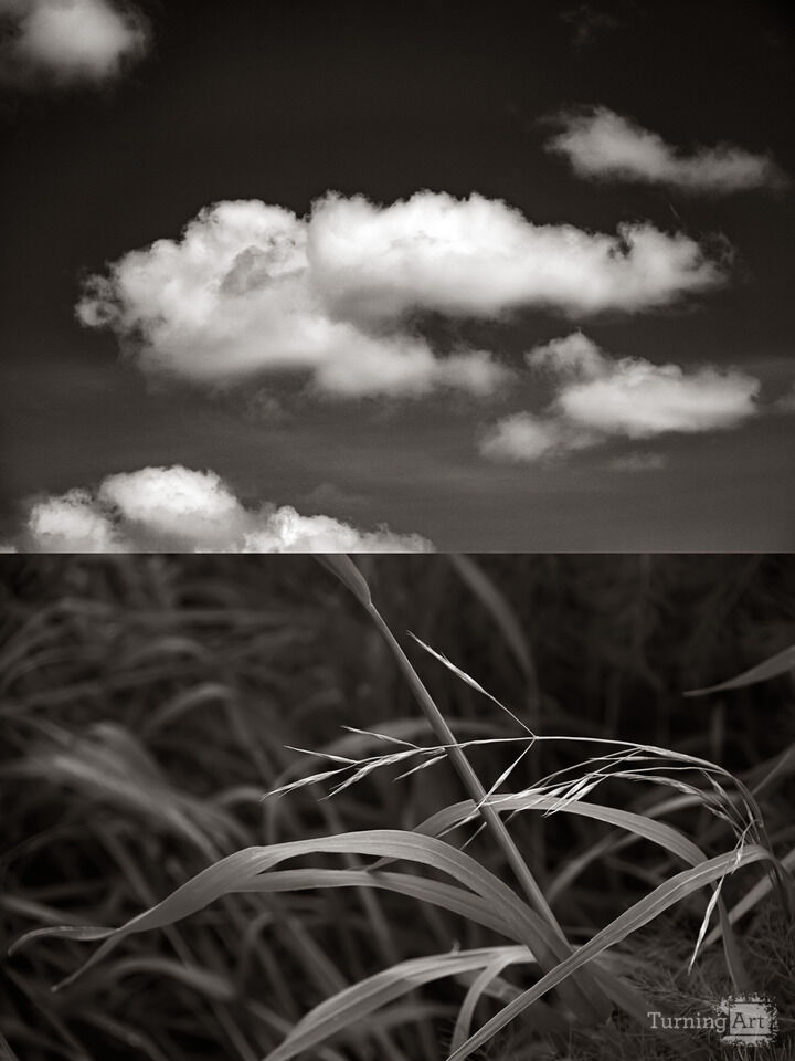 Interdependence No. 2