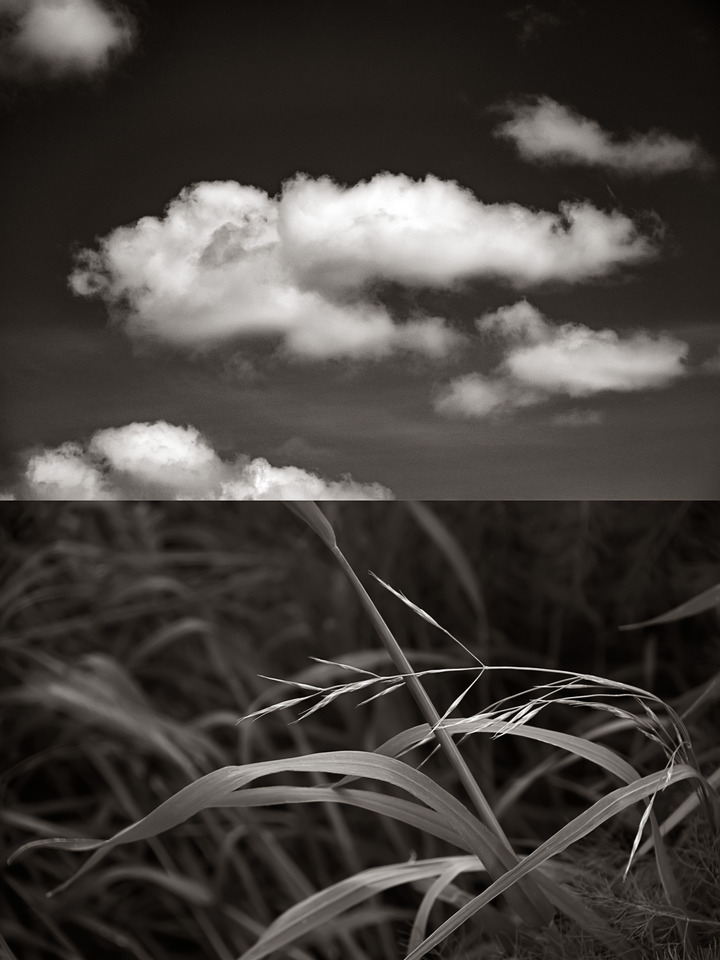 Interdependence No. 2