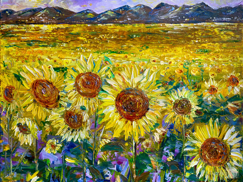 Pyrenees and Sunflowers.