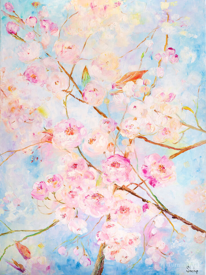 Cherry Blossoms under a Blue Sky