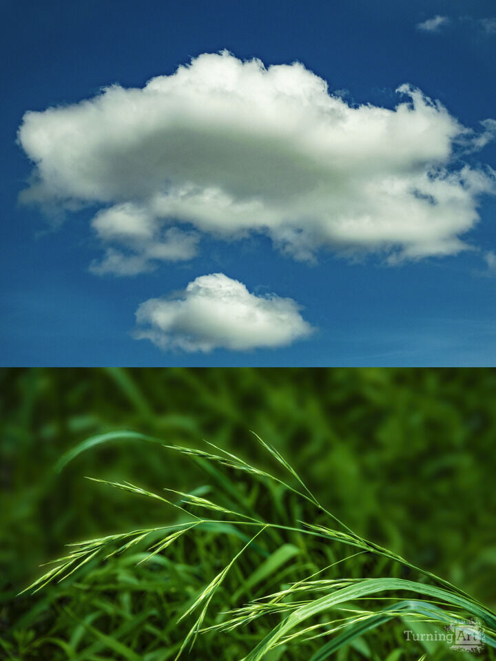 Interdependence No. 3