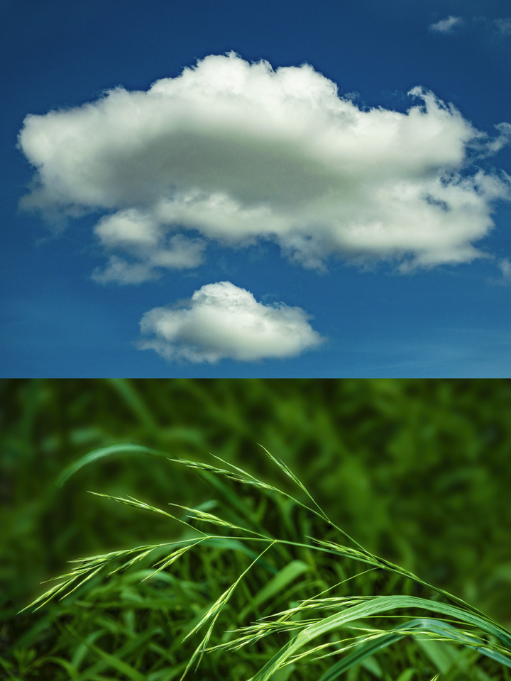 Interdependence No. 3