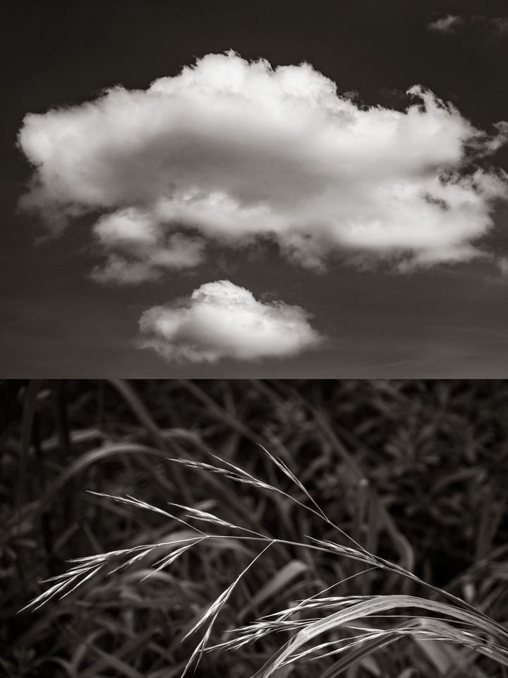 Interdependence No. 4