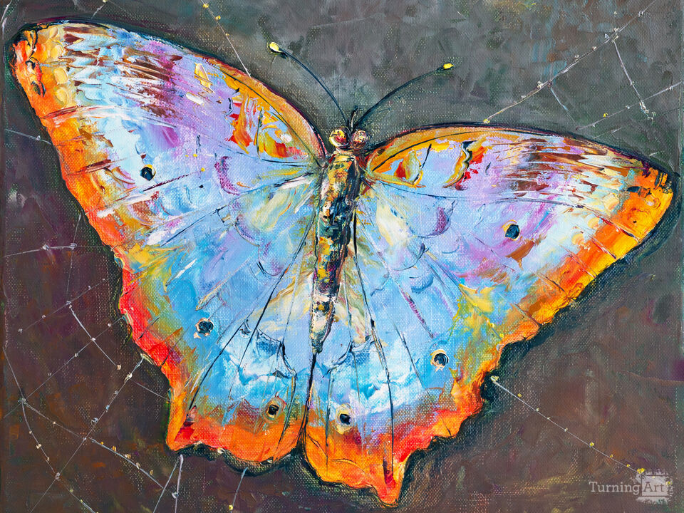 Butterfly. Morning Forest.