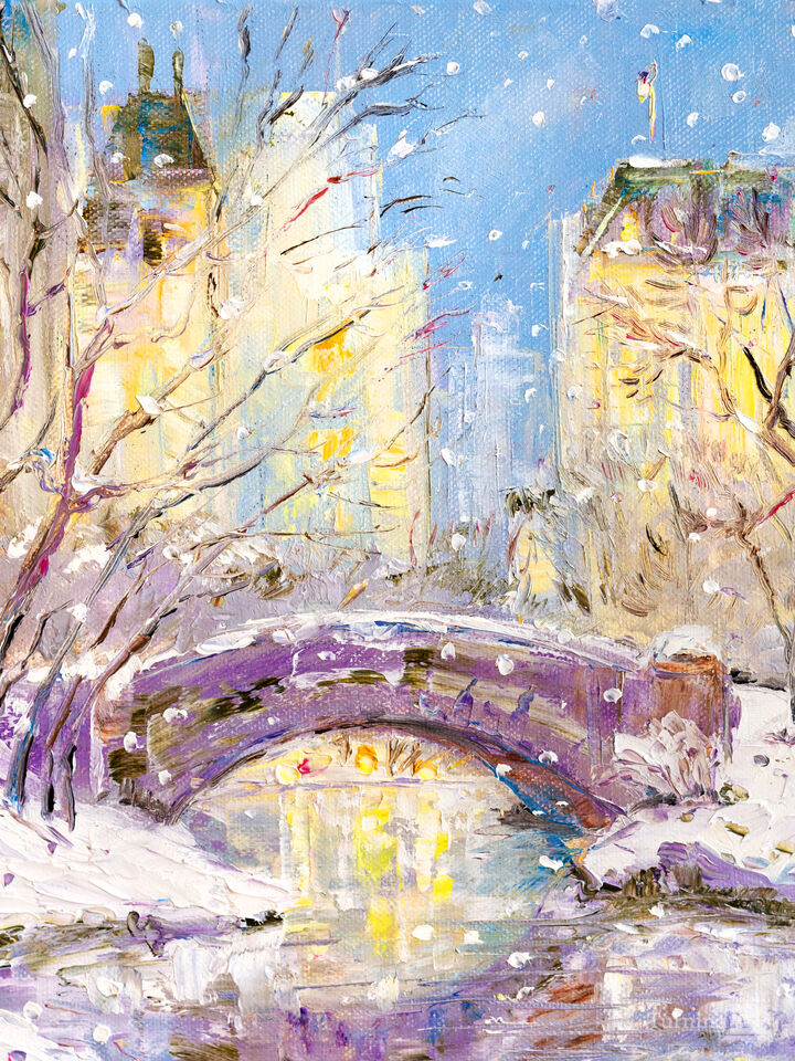 Winter in Central Park. New York.