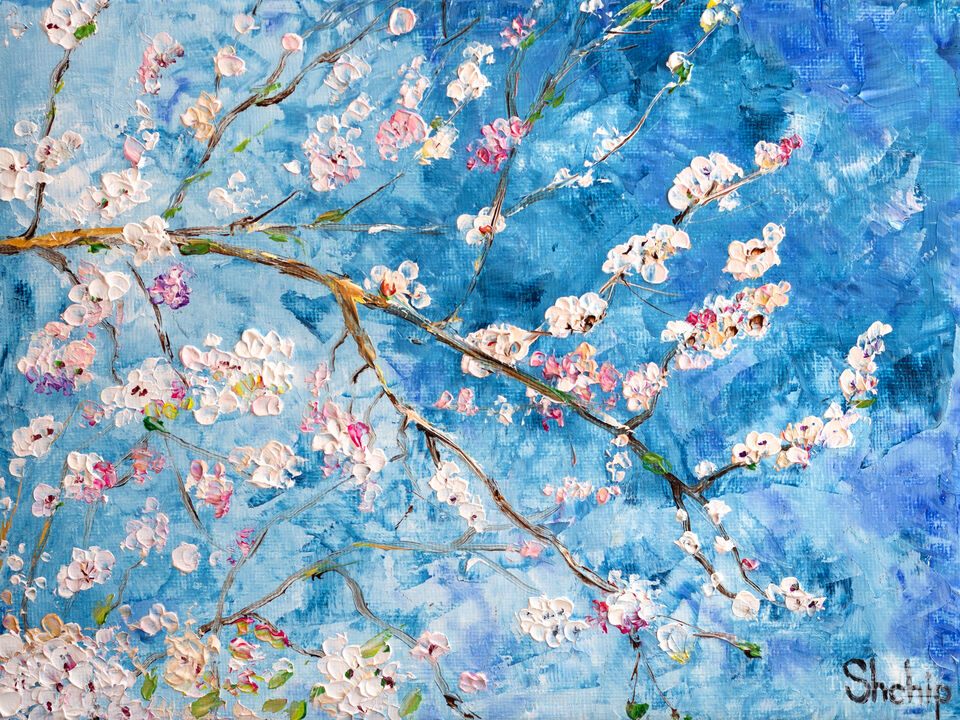 Sakura Under The Blue Sky.