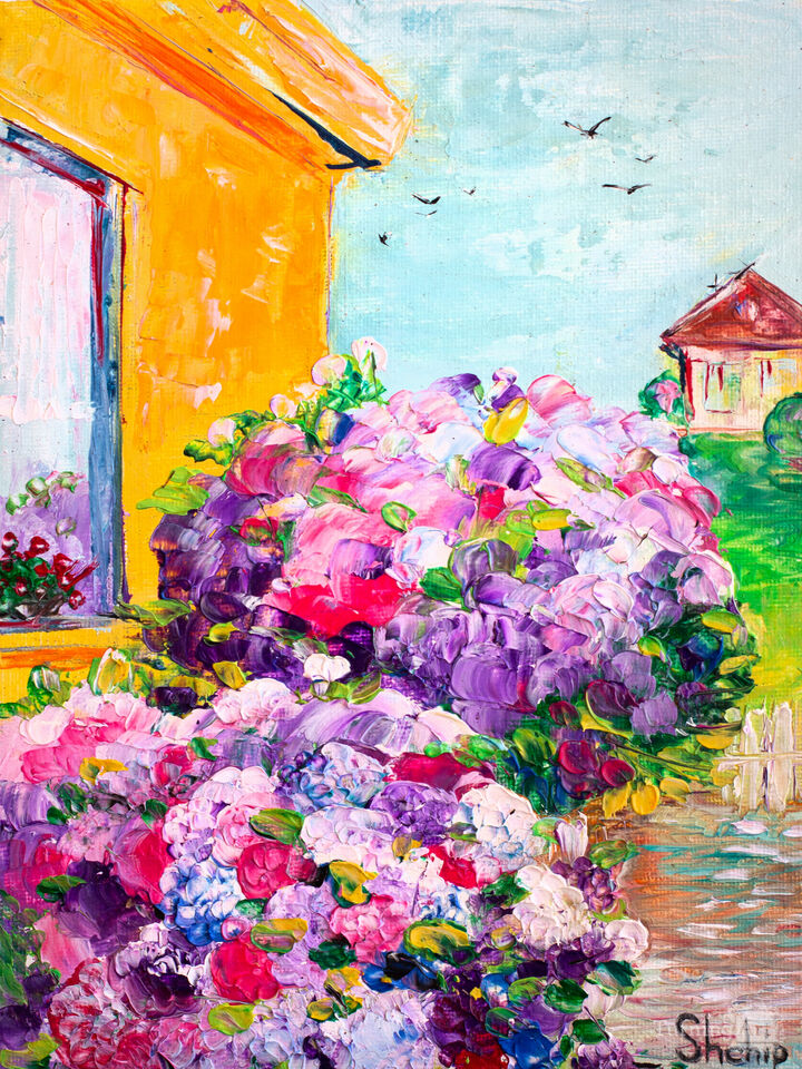 Hortensia Near The House.