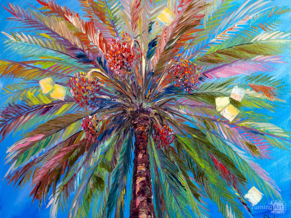 Date palm. Summer. Costa Brava.