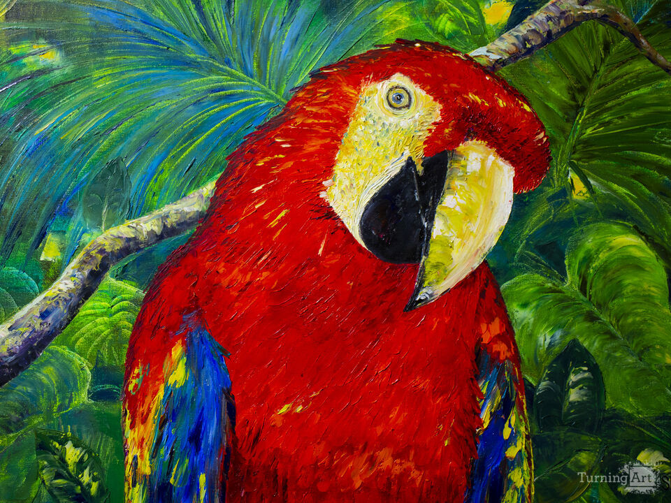 Macaw parrot in jungles.
