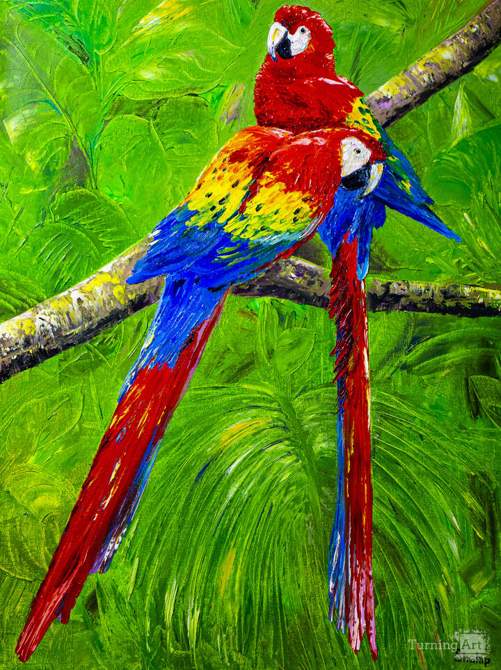 Parrots in a tropical forest.