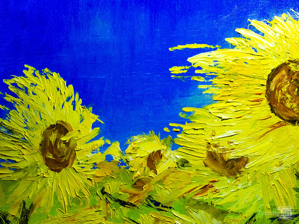 Sunflowers under the blue sky .