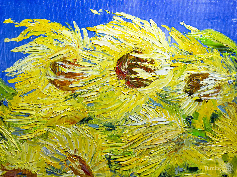 The wind in the sunflowers. 