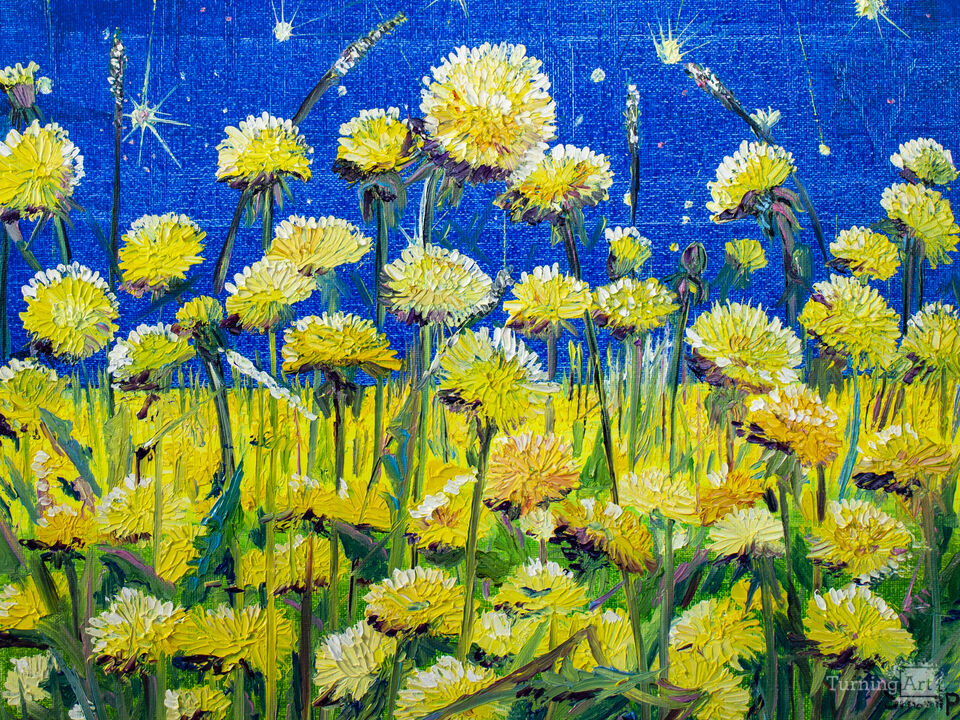 Dandelions. Starfall.