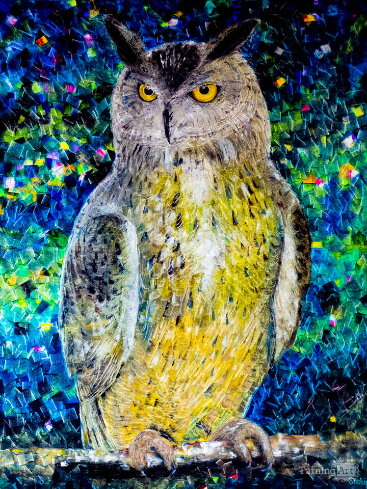 Owl - a symbol of wisdom