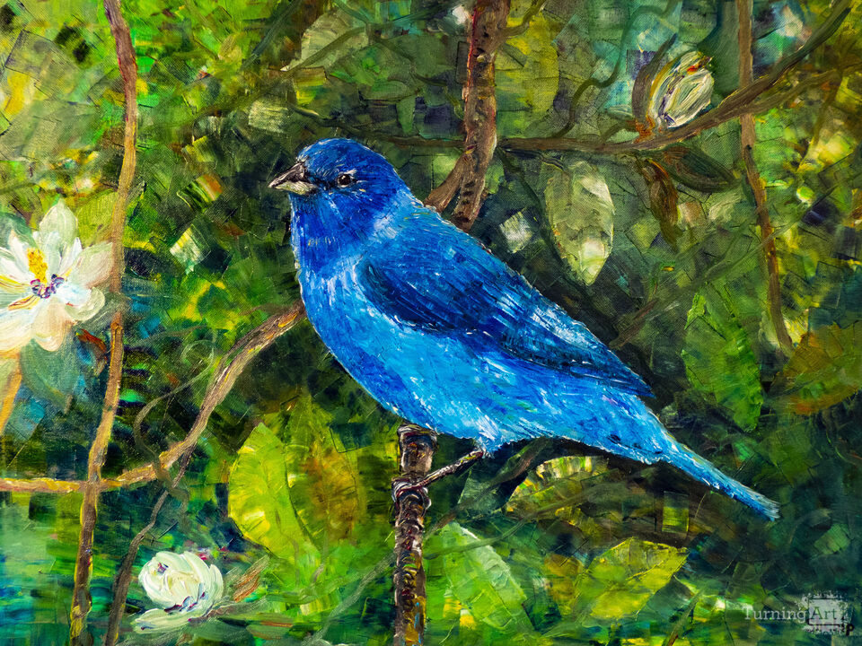 Blue bird.