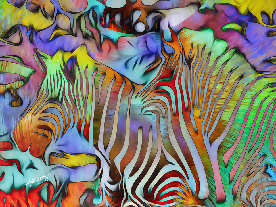 Zebra in Technicolor